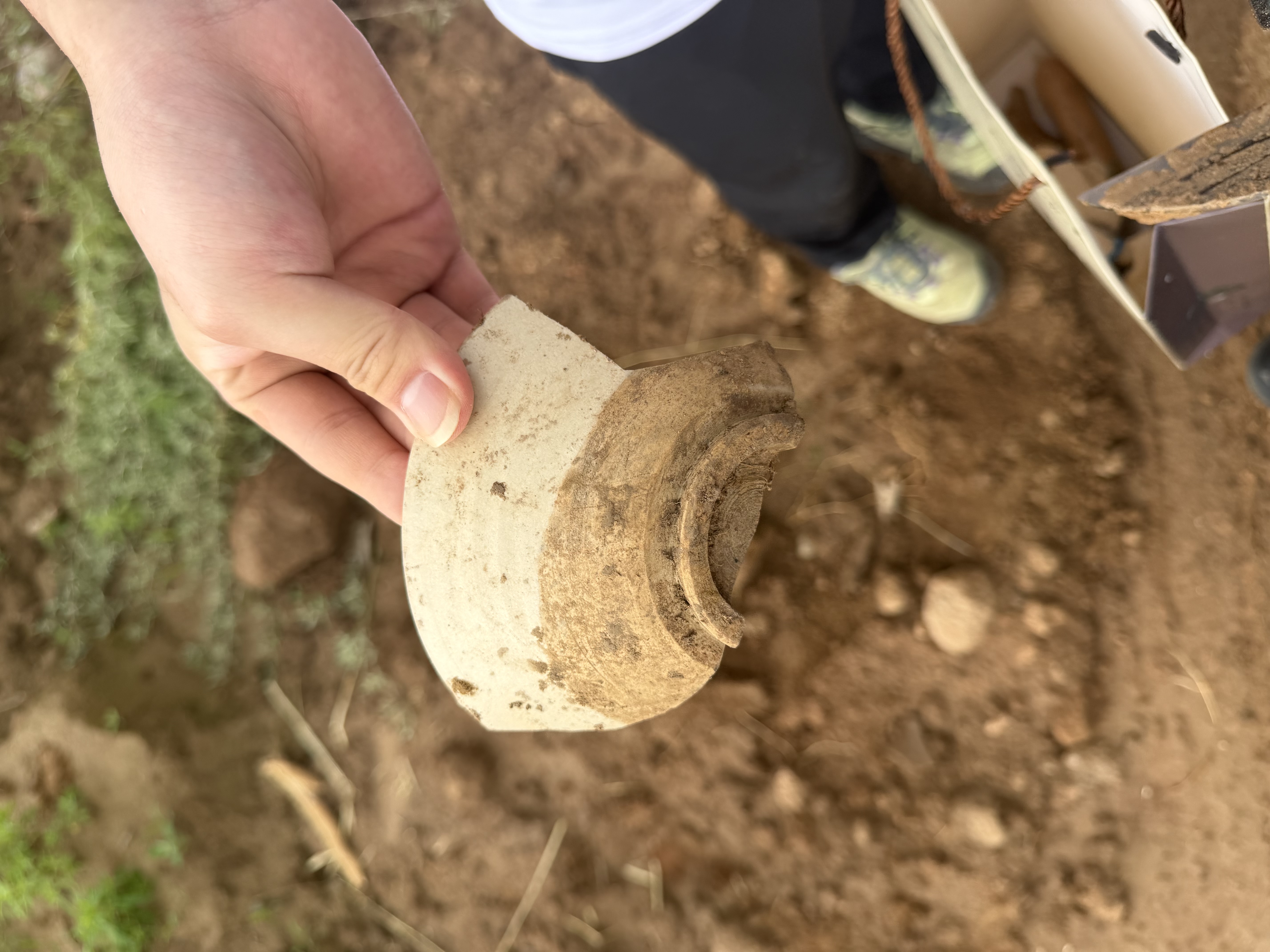 Site Survey and Surface Collection