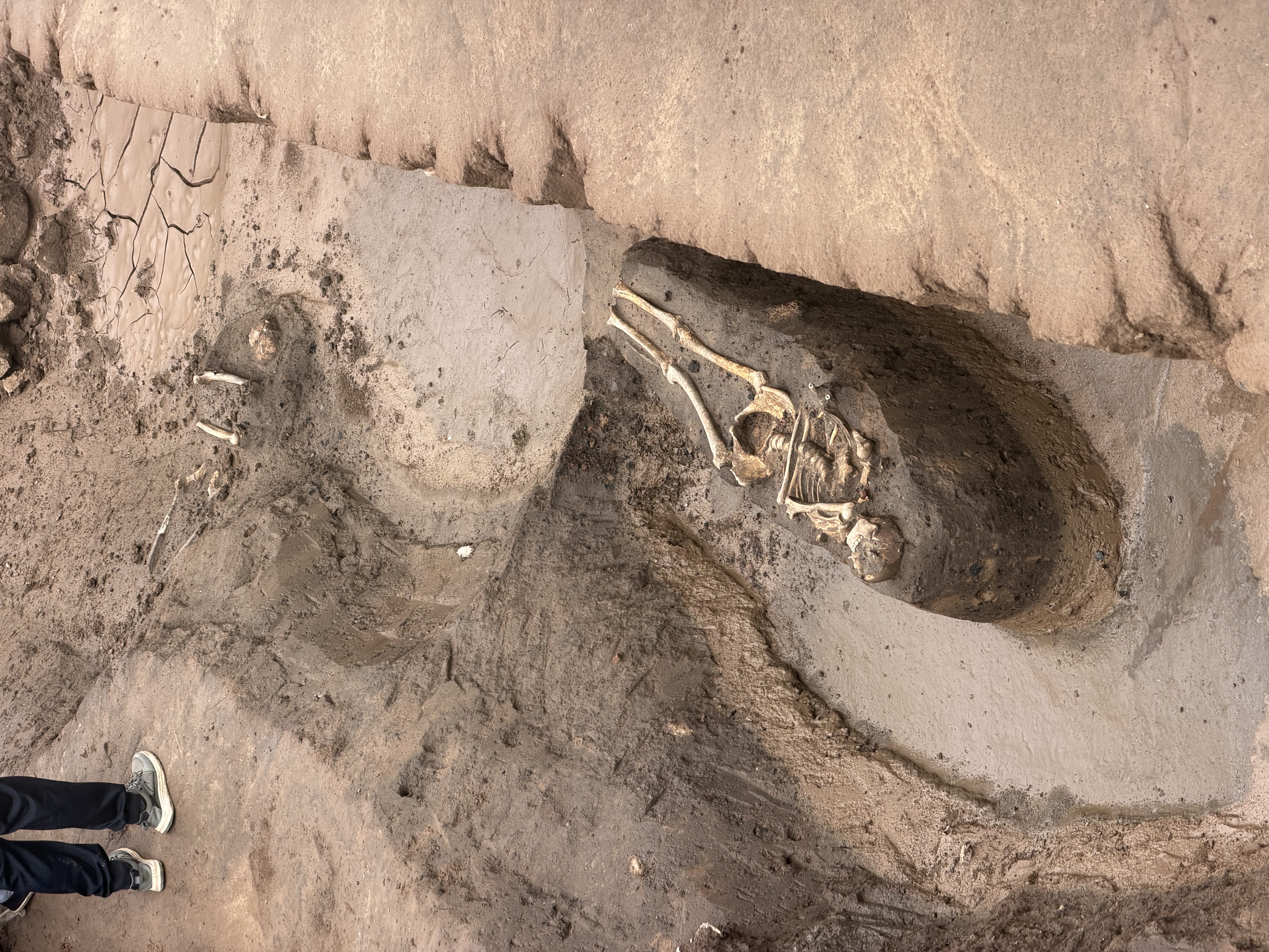 Archaeology portfolio image 5