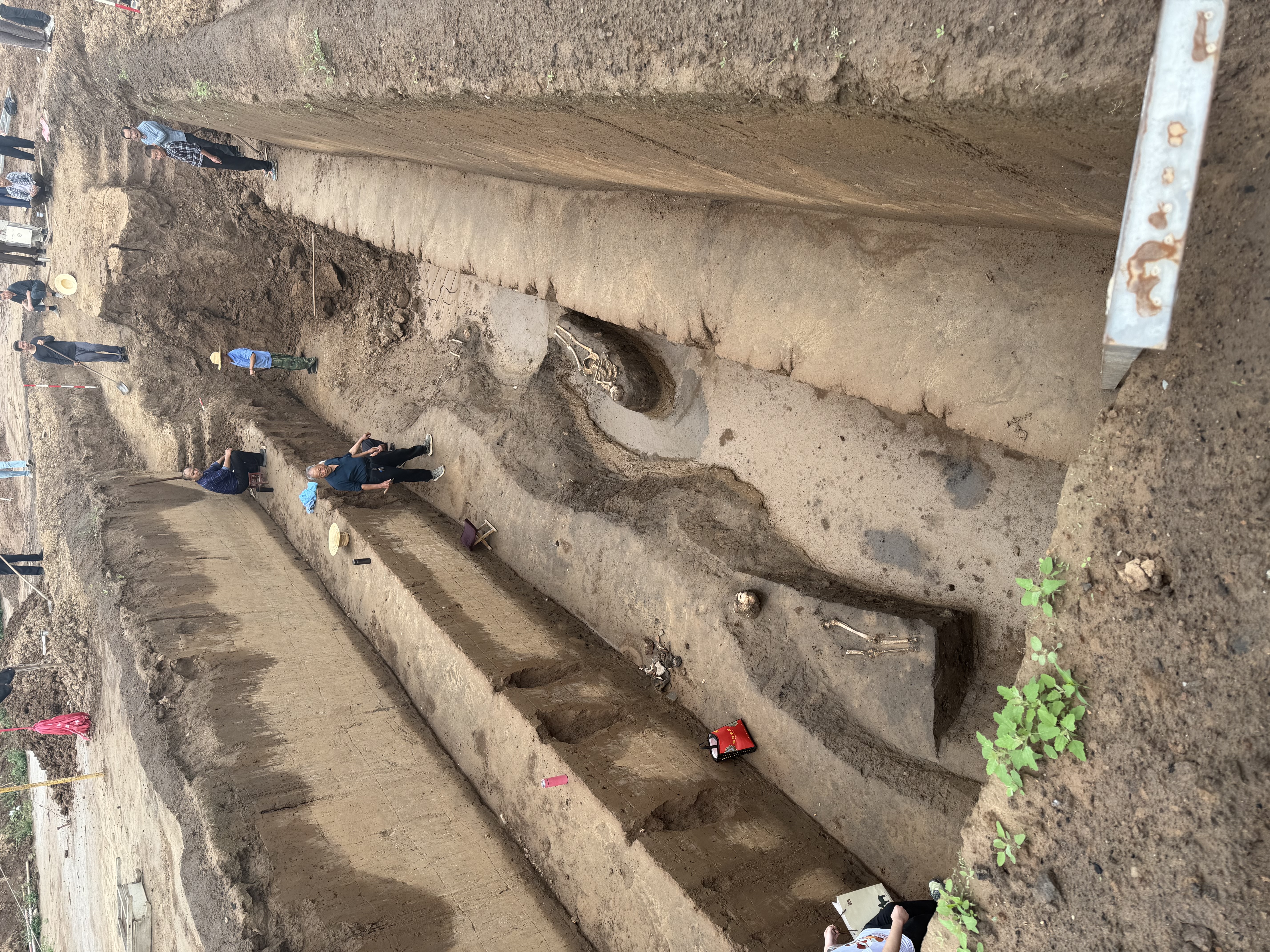 Archaeology portfolio image 6