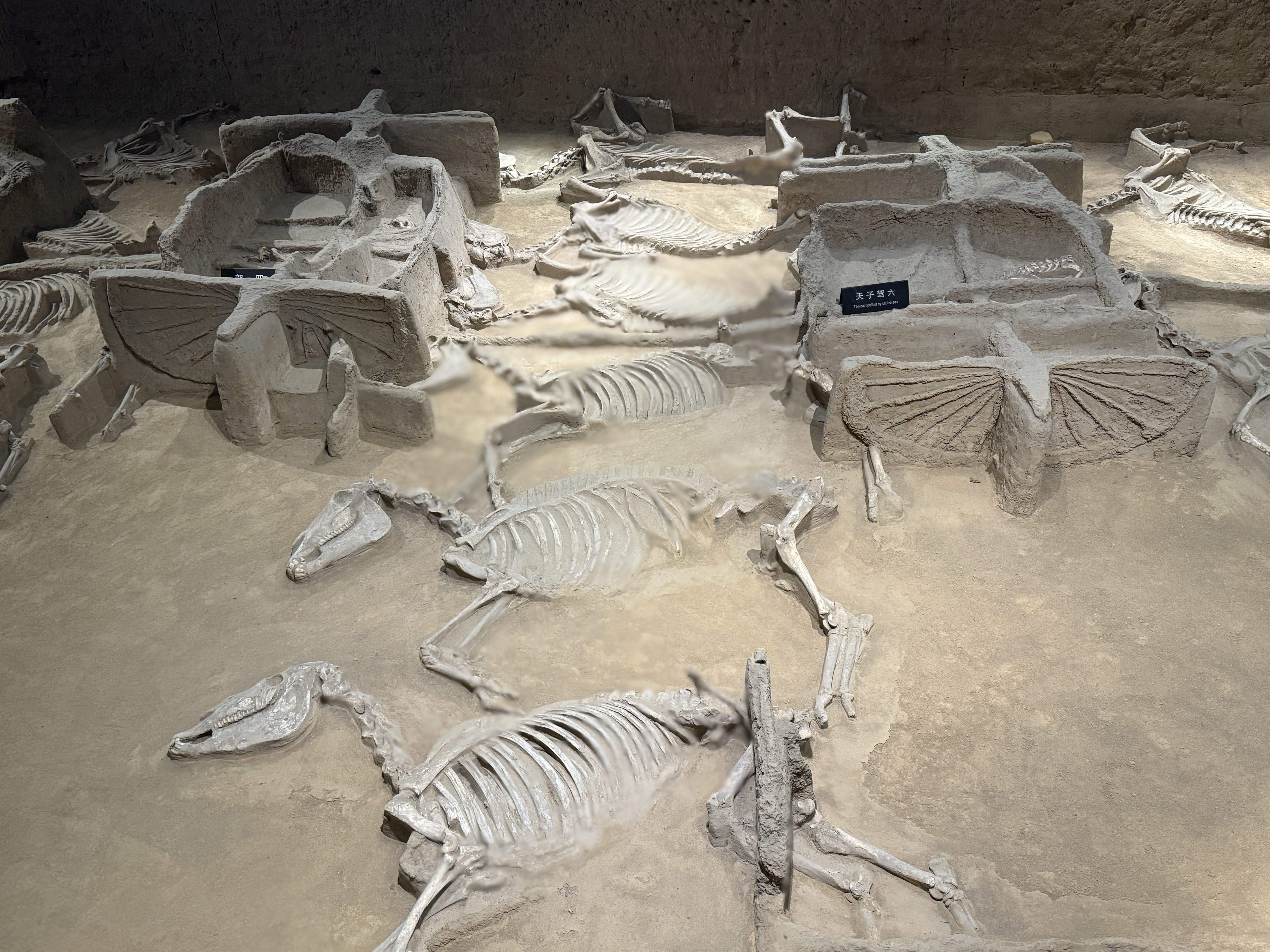 Archaeology portfolio image 9
